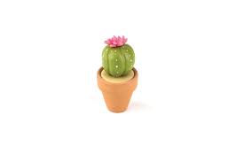 Growing cacti is a hobby for people with a sense of eternity! Clay Cactus Extract From Polymer Clay For Beginners By Emily Chen How To Mold A Clay Flower