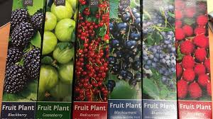 Jun 10, 2021 · apeksha ekbote msc,rd chief dietician, nephroplus jamun, the highly nutritious, refreshing and succulent fruit flooding the summer markets has innumerable health benefits. How To Grow Flavour Bursting Blueberries Raspberries And Blackberries Ultimate Soft Fruit Guide Youtube