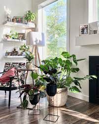 10 Unique Plant Decorating Ideas For Your Home My Tasteful Space Living Room Plants Decor Houseplants Decor Plant Decor