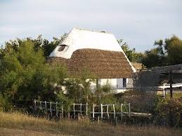 Mas Camarguais Pres Des Saintes Maries De La Mer Saint Remy De Provence Camargue Verdon