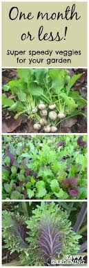 A huge reason why carrots make a great option for an indoor vegetable garden is its size. Plant Fast Growing Vegetables For A Homegrown Harvest In 6 Weeks Or Less