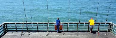 Maybe you would like to learn more about one of these? Home Bogue Inlet Pier
