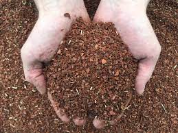 We did not find results for: Pine Bark Fines Mcmahons Transport