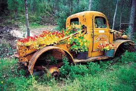 Pin On Old Trucks And Flower Beds
