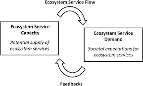 Learn vocabulary, terms and more with flashcards, games and other study tools. Demand For Nonprovisioning Ecosystem Services As A Driver Of Change In The Canadian Boreal Zone1