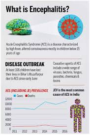 Cord blood, or placental blood, is the blood left behind in a baby's umbilical cord after it's been cut. Diseases In India For Upsc Exam Legacy Ias Academy