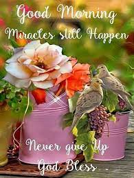 Miracles Still Happen Good Morning Good Morning Miracle Good Morning Quotes Image Quotes For Good Morning Happy Friday Good Morning Friday Good Morning Happy