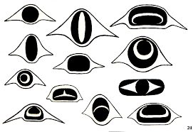 Http Www Nativeonline Com Wpe24 Gif Spirit Animal Art Animal Art Projects Pacific Northwest Art