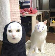 スマホアプリで アレ と顔交換したニャンコ その衝撃の姿が話題 ねこのきもちweb magazine にゃんこ カオナシ 面白い猫の写真