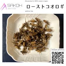 昆虫 料理 大阪