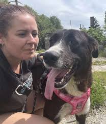 I can't give up in finding Xena a home 🙏🏼 I will keep posting her, and  pray she doesn't deteriorate further 💔 She does not suit shelter life 😔  she is losing