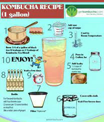 50 Amazing Kombucha Recipes And How To Make Kombucha Soda Kombucha Recipe Kombucha Kombucha Tea