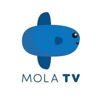 Des de sabadell i per tota l'àrea metropolitana de barcelona, mola tv és la televisió musical que combina la millor música amb els programes d'entreteniment i d'informació local. Mola Tv Overview Competitors And Employees Apollo Io