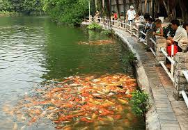 Apa saja tempat yang menyediakan pemandangan & tengara terbaik di guangzhou untuk wisatawan dengan anggaran terbatas? Tempat Menarik Di Guangzhou 10 Tarikan Lain Dari Yang Lain Rare
