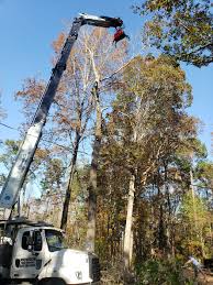Tree services in birmingham, al. Tree Services Birmingham Al Precision Tree Service