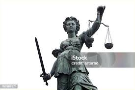Image result for Justicia francoiseana