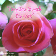 Quotes About Smelling 115 Quotes