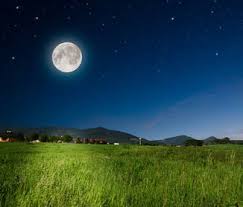 Chaque mois compte une pleine lune et une nouvelle lune. Jardiner Avec La Lune Explication Et Interet Au Jardin Et Au Potager