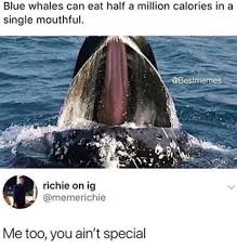 Pin On Health Fitness