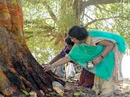 On sharad poornima, goddess lakshmi is worshipped. Vat Savitri Vrat 2021 Date Tithi And Significance
