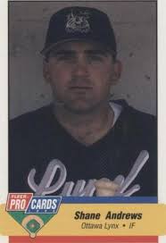 1993 Fleer Procards Harrisburg Senators 273 Shane Andrews BXCP39