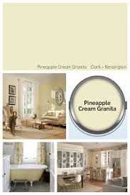 Ace Hardware 2019 Color Of The Year Pineapple Cream Granita Basement Remodeling Paint Colors For Home