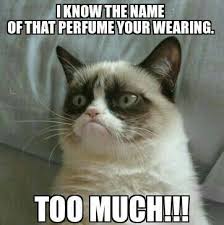 Migraine Buddy I Like Your Perfume But Must You Bathe In It Don T You Just Feel Like Sometimes People Bathe In Their Perfumes Migrainebuddy Migraine Migraines Facebook