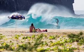 Hotels, apartments, villas, hostels, resorts, b&bs Baia Formosa Rio Grande Do Norte Onde Fica Atrativos E Dicas