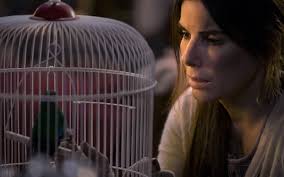 35 Best Sandra Bullock Movies to Watch