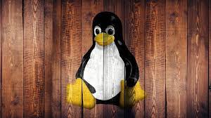 اصدارات نظام التشغيل Linux نظام التشغيل لينوكس هو واحد من ضمن أشهر أنظمة التشغيل لأجهزة الحاسوب وهم نظام لينوكس ونظام الو Android Emulator Linux Linux Kernel
