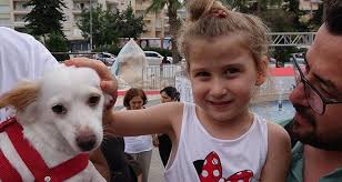 Patileri Kesilerek Katledilen Kopek Icin Hayvanseverlerden Eylem