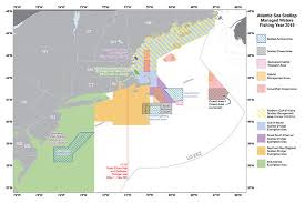 Atlantic Sea Scallop Noaa Fisheries