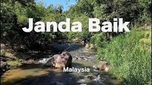 Ideal for short getaway, family days, seminars etc. Kampung Janda Baik Pahang Let S Back To The Nature Youtube