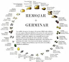 Pin De Maricela Garcia En Mini Jardin Como Hacer Germinados Germinados Semillas Germinadas