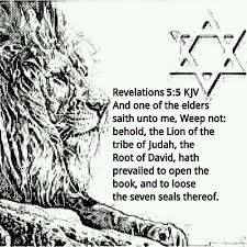the lion of judah lion of judah tribe of judah judah