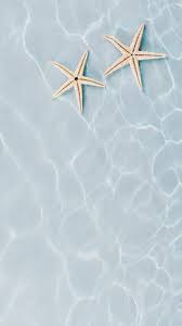 Check spelling or type a new query. Iphone Wallpaper Summer Themed Wallpaper Summer Wallpaper Ocean Wallpaper