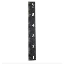 coop wood ruler growth chart