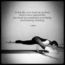 Eka Pada Koundinyasana Ii Yoga Quotes Yoga Images Become A Yoga Instructor