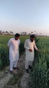 Profile for Arif Subhan