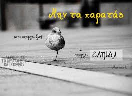Δέσποινα, βοήθησον ἐφ' ἡμῖν σπλαγχνισθεῖσα, σπεῦσον, ἀπολλύμεθα ὑπὸ πλήθους πταισμάτων, μὴ ἀποστρέψῃς σοὺς δούλους κενούς· σὲ γὰρ καὶ μόνην ἐλπίδα κεκτήμεθα. Yparxei Elpida Shmera Online Press