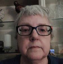 This wild rose bush planted itself outside of my back door about twenty  years ago and attracts loads of bees