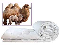It is commonly used in spoken english and. Extra Warm Camel Wool Comforter Duvet Insert Queen Buy Online In Aruba At Aruba Desertcart Com Productid 90975789