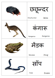 Hindi Animals Book Pdf In 2020 Hindi Language Hindi Animal Book