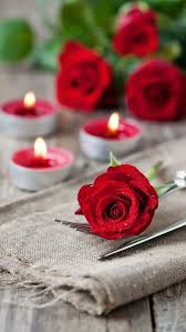 Pin By Momin Heena On Photography Beauty Beautiful Flowers Photography Flowers Photography Love Rose Flower