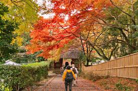 Peak seasons depend on the temperature in each region. The Best Places To Visit In Japan During Autumn