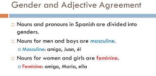 Our online gender trivia quizzes can be adapted to suit your requirements for taking some of the top gender quizzes. Quiz Spanish Gender Adjective Agreement Proprofs Quiz