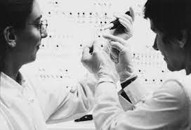 Radiobiology and radiotherapy research program: European Cancer Research Summit 2021 Newsroom