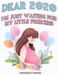 Amazon Com Dear 2020 I M Just Waiting For My Little Princess Week By Week Pregnancy Planner Pregnancy Diary Peter Rabbit Baby Book Pregnancy Gift Pregnancy Milestone Pregnancy Announcement 9781654179441 Publication Ivy Books