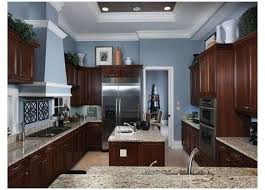 Kitchen Colors For Walls Dark Cabinets In 2020 Dark Wood Kitchens Dark Wood Kitchen Cabinets Navy Kitchen Walls