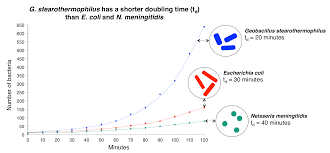 For example, a war can significantly lower the population and affect both the death and birth rates for years into the future. File G Stearothermophilus Has A Shorter Doubling Time Td Than E Coli And N Meningitidis Png Wikipedia